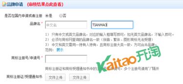 速賣通商標(biāo)申請信息填寫全攻略 正確標(biāo)注商標(biāo)狀態(tài)的核心要點(diǎn)