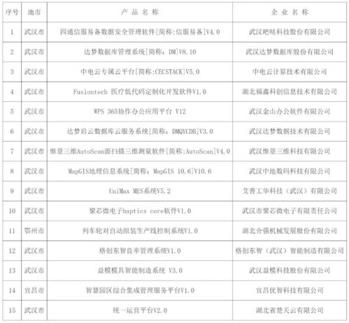 2024年湖北省首版次軟件產(chǎn)品暨關(guān)鍵軟件獨(dú)立研發(fā)企業(yè)清單正式公示